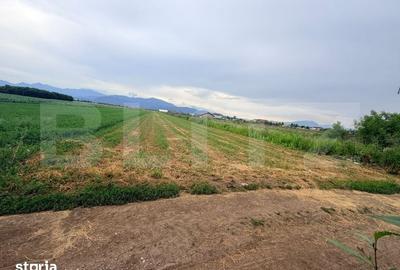 Teren de 4350 mp, în Stupini - 1