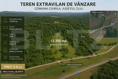 Teren extravilan de 13300 mp, în Ciurila