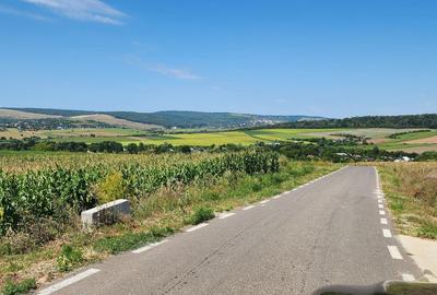Teren de 21000 mp, în Scânteia - 8