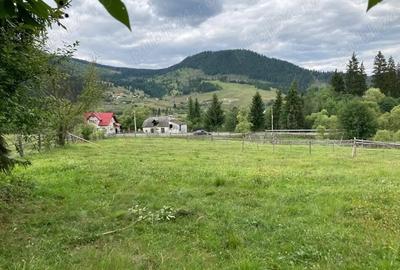 Teren de 4000 mp, în Dorna-Arini - 7