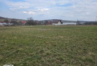 Teren de 4000 mp, în Mitocu Dragomirnei - 3