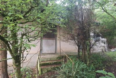 Casă cu 4 camere în Bichiș - 5