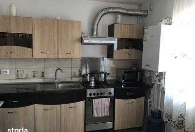 Casă cu 3 camere cu Teren 2260 Mp în Siloz - 3