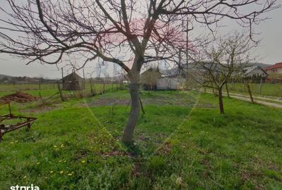 Casă cu 4 camere cu Teren 938 Mp în Central - 4