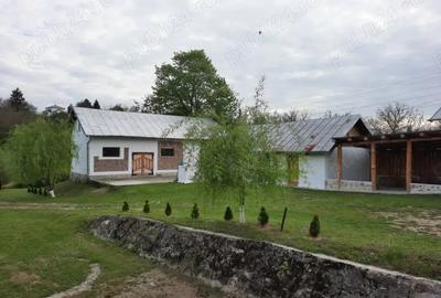 Spațiu comercial, de 723 mp, în Valea Cricovului - 6