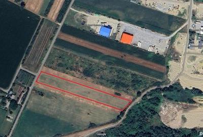 Teren de 4984 mp, în Sântion - 5