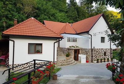 Casă cu 7 camere cu Teren 5000 Mp în Bulzeștii de Sus