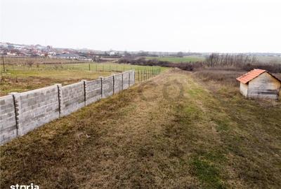Teren de 1600 mp, în Sânmartin - 3