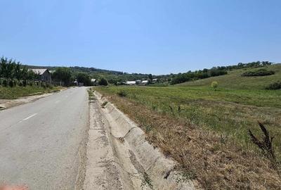 Teren de 2340 mp, în Miroslava - 3