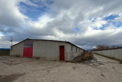 Spațiu industrial, de 2,000 mp, în Prejmer - 3