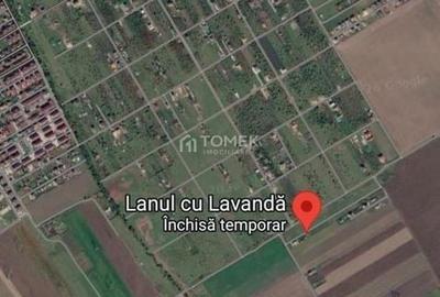 Spațiu comercial, în Sânpetru