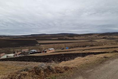 Teren de 2800 mp, în Daia Română - 3