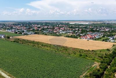 Teren intravilan de 8600 mp, în Dragomirești-Vale - 12