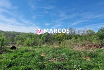 Teren Construcții extravilan de 2360 mp, în Calea Caransebeșului - 2