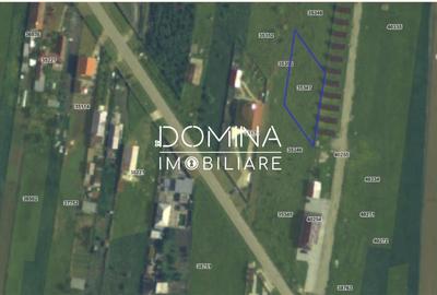 Teren Construcții intravilan de 978 mp, în Drăguțești - 2