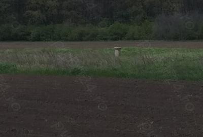Teren de 15000 mp, în Afumați