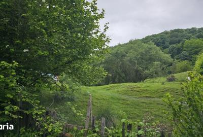 Teren de 3837 mp, în Bocșa