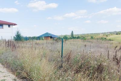 Teren Construcții de 800 mp, în Bălteni