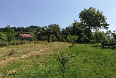 Spațiu comercial, în Bughea de Sus - 2