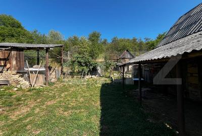Casă cu 3 camere cu Teren 2500 Mp în Central