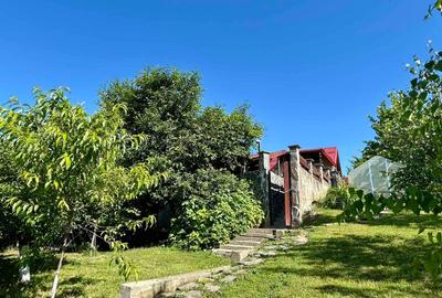 Casă individuală cu 5 camere cu Teren 1500 Mp în Bucium - 5