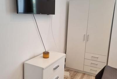 Apartament cu 2 camere semidecomandat în Dosu Bricii - 3