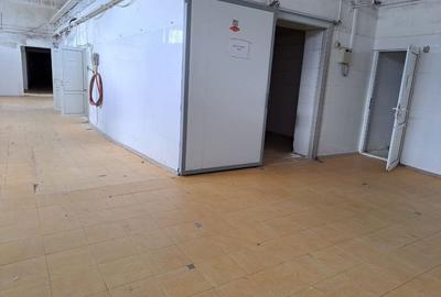 Spațiu comercial, de 50 mp, în Carani - 10