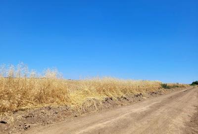 Teren extravilan de 5000 mp, în Țegheș - 2