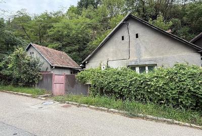Teren de 8000 mp, în Dealu Mare - 3