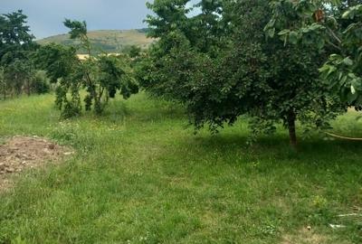 Casă individuală cu 2 camere cu Canalizare în Benic - 2