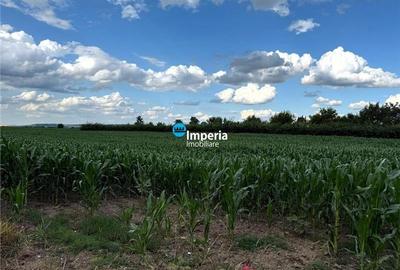Teren agricol intravilan de 19800 mp, în Est - 4