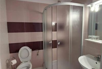 Casă individuală cu 14 camere cu Canalizare în Micălaca - 10