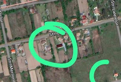 Teren de 5000 mp, în Vrancea - 5