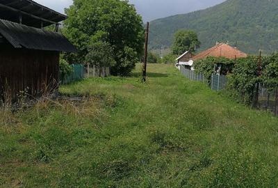 Teren în Stejaru (Pângărați) - 7