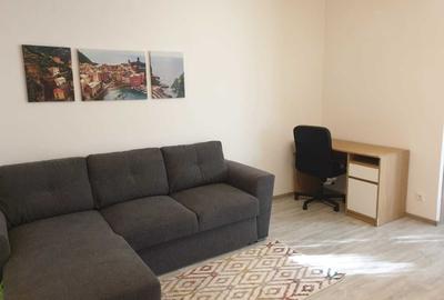 Garsonieră semidecomandată în Lujerului - 8