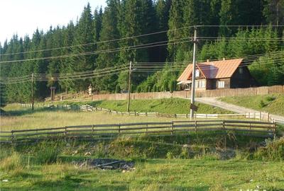 Teren de 3000 mp, în Poiana Horea - 3