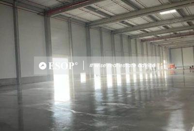 Spațiu industrial, de 5,000 mp, în Mureșeni - 6