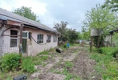 Teren de 1200 mp, în Băneasa - 5
