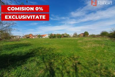 Teren Construcții intravilan de 3000 mp, în Pădureni (Jebel) - 8