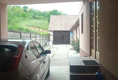 Teren de 801 mp, în Pianu - 1