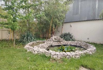 Casă cu Teren 1000 Mp în Lipănești - 6