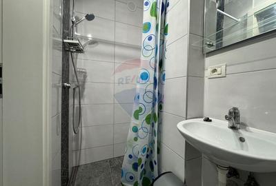 Garsonieră, mobilată în Noua - 4