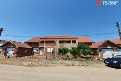 Duplex cu 6 camere cu Canalizare în Peciu Nou - 31
