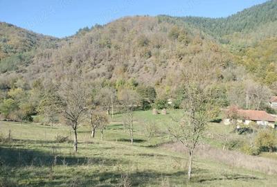 Teren de 3562 mp, în Vața de Sus - 2