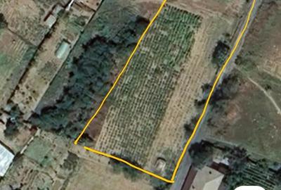 Teren de 1286 mp, în Somova