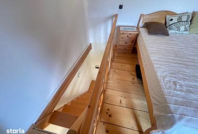Casă cu 2 camere în Săldăbagiu de Munte - 2