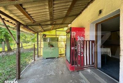 Casă cu 4 camere cu Teren 2534 Mp în Brănișca - 7