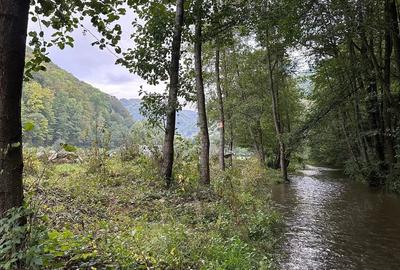 Teren de 1000 mp, în Șugag - 6