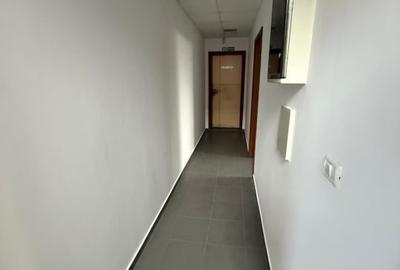 Spațiu industrial, de 500 mp, în Torontalului - 18