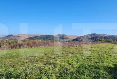 Teren de 963 mp, în Gilău - 5